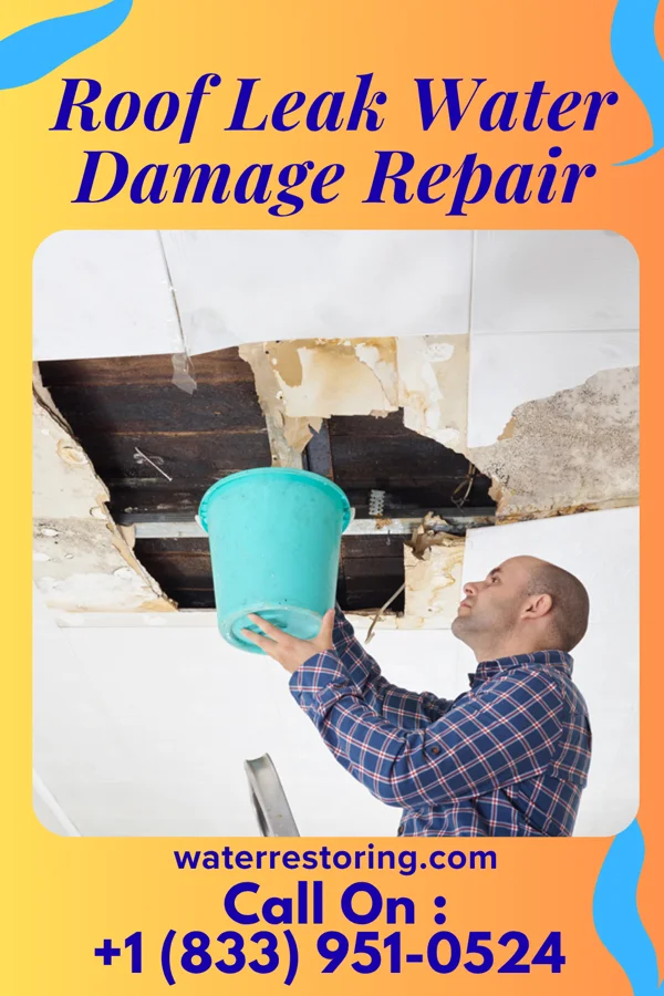 Roof Leak Water Damage Repair in Kelso, WA